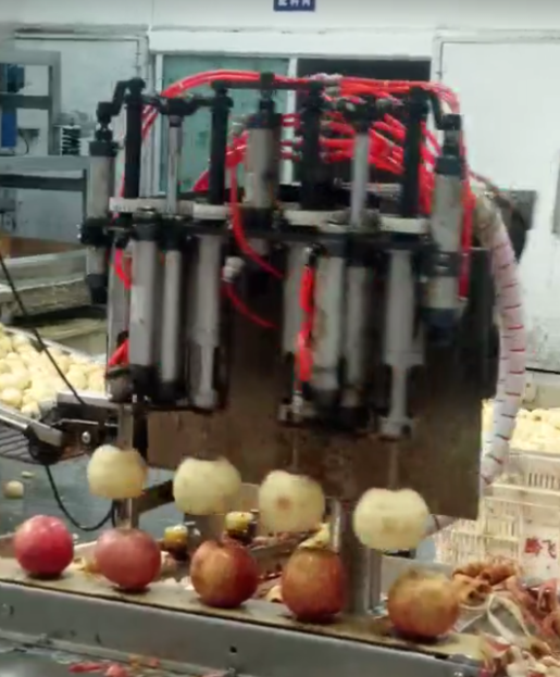 鼎興施工人員拍攝的水果去皮機(jī) 鼎興施工人員拍攝的水果去皮機(jī)